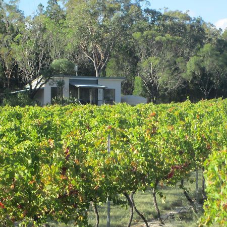 Just Red Wines Cabins Ballandean Eksteriør billede